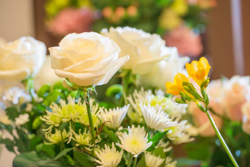 Blumenabo die Idee Wolhusen