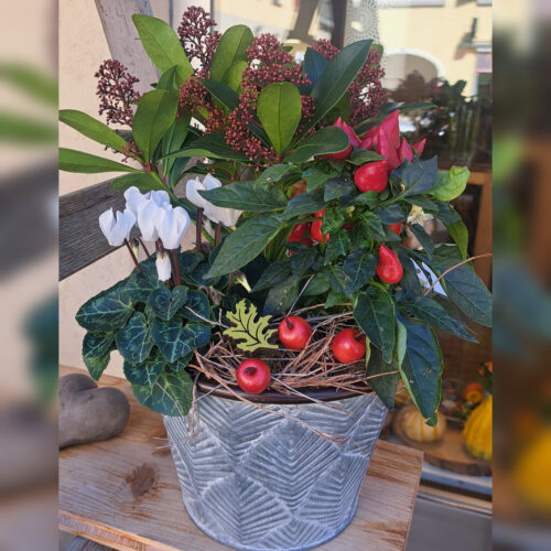 Herbstbepflanzung für draussen